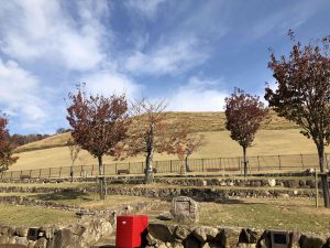 November 27, 2018 - (6) Mount Wakakusa IMG_0314