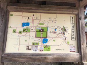 November 27, 2018 - (7) Todaiji Temple 56498242563__1A561E28-5E01-4088-B5DD-027999922896