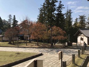 November 27, 2018 - (7) Todaiji Temple IMG_0318