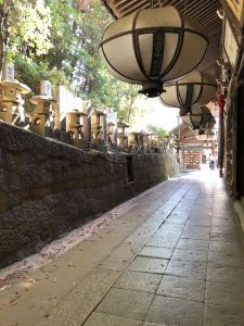 November 27, 2018 - (7) Todaiji Temple IMG_0322