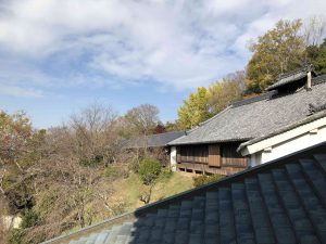 November 27, 2018 - (7) Todaiji Temple IMG_0325