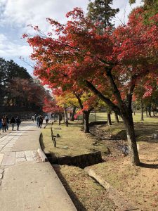November 27, 2018 - (7) Todaiji Temple IMG_0330