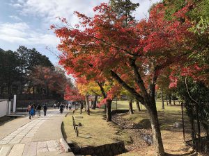 November 27, 2018 - (7) Todaiji Temple IMG_0331