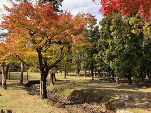 November 27, 2018 - (7) Todaiji Temple IMG_0332