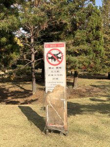 November 27, 2018 - (7) Todaiji Temple IMG_0333