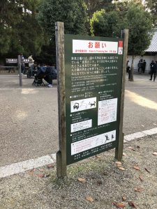 November 27, 2018 - (7) Todaiji Temple IMG_0338