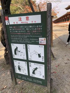 November 27, 2018 - (7) Todaiji Temple IMG_0339