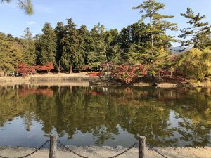 November 27, 2018 - (7) Todaiji Temple IMG_0350