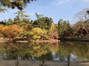November 27, 2018 - (7) Todaiji Temple IMG_0353