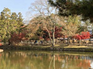 November 27, 2018 - (7) Todaiji Temple IMG_0354