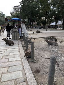 November 27, 2018 - (7) Todaiji Temple IMG_0358