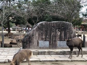 November 27, 2018 - (7) Todaiji Temple IMG_0361