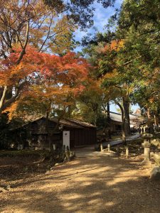 November 27, 2018 - (7) Todaiji Temple IMG_8138
