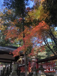 November 27, 2018 - (7) Todaiji Temple IMG_8143