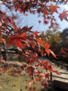 November 27, 2018 - (7) Todaiji Temple IMG_8167