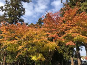 November 27, 2018 - (7) Todaiji Temple IMG_8170
