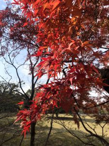 November 27, 2018 - (7) Todaiji Temple IMG_8173