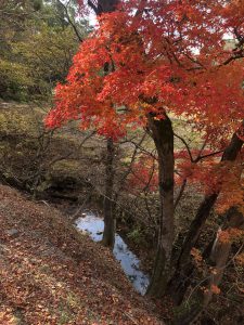 November 27, 2018 - (7) Todaiji Temple IMG_8175