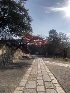November 27, 2018 - (7) Todaiji Temple IMG_8182