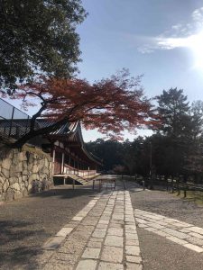 November 27, 2018 - (7) Todaiji Temple IMG_8183