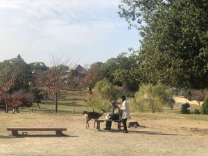 November 27, 2018 - (7) Todaiji Temple IMG_8185