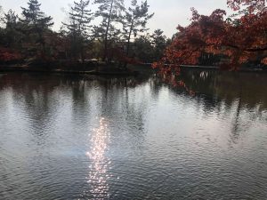 November 27, 2018 - (7) Todaiji Temple IMG_8193
