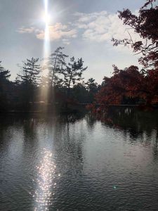 November 27, 2018 - (7) Todaiji Temple IMG_8194