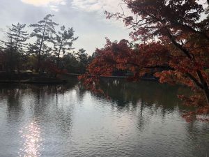 November 27, 2018 - (7) Todaiji Temple IMG_8195