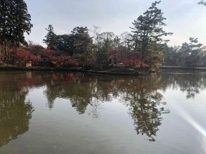 November 27, 2018 - (7) Todaiji Temple IMG_8196