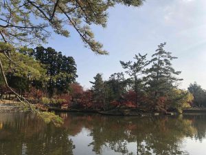 November 27, 2018 - (7) Todaiji Temple IMG_8199