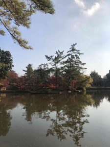 November 27, 2018 - (7) Todaiji Temple IMG_8200