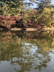 November 27, 2018 - (7) Todaiji Temple IMG_8204