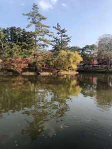 November 27, 2018 - (7) Todaiji Temple IMG_8205