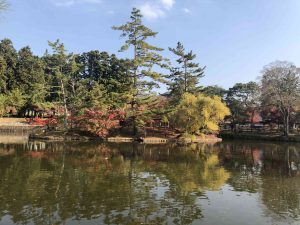 November 27, 2018 - (7) Todaiji Temple IMG_8206