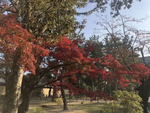 November 27, 2018 - (7) Todaiji Temple IMG_8213