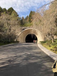 November 28, 2018 - (2) Miho Museum IMG_0370
