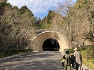 November 28, 2018 - (2) Miho Museum IMG_0371