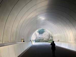 November 28, 2018 - (2) Miho Museum IMG_0372
