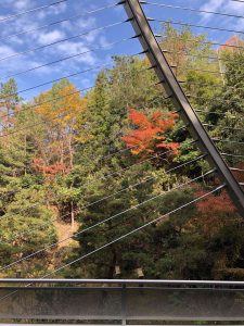 November 28, 2018 - (2) Miho Museum IMG_0378