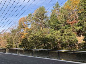 November 28, 2018 - (2) Miho Museum IMG_0380