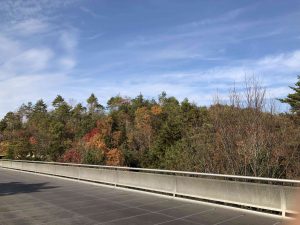 November 28, 2018 - (2) Miho Museum IMG_0382