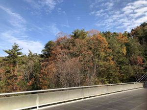 November 28, 2018 - (2) Miho Museum IMG_0383