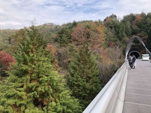 November 28, 2018 - (2) Miho Museum IMG_0397
