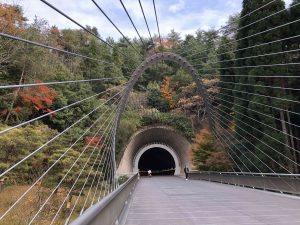November 28, 2018 - (2) Miho Museum IMG_0398