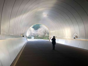 November 28, 2018 - (2) Miho Museum IMG_8267