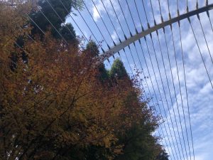 November 28, 2018 - (2) Miho Museum IMG_8274