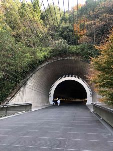November 28, 2018 - (2) Miho Museum IMG_8276