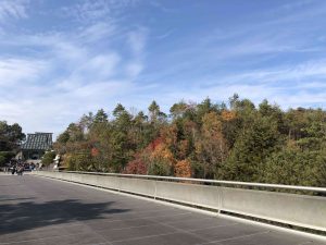 November 28, 2018 - (2) Miho Museum IMG_8280