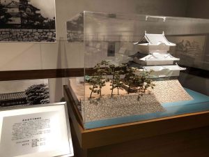 November 29, 2018 - (2) Tamamo Park IMG_0607