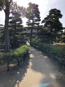 November 29, 2018 - (2) Tamamo Park IMG_0613